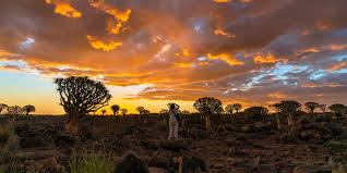 Into the Unknown: Exploring Untamed Africa